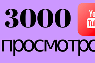 3000 качественных просмотров