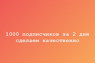 1000 подписчиков за 2 день