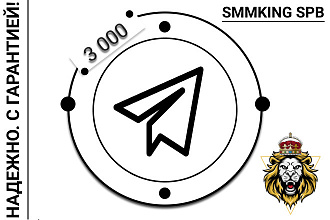 3 000 подписчиков на ваш канал Telegram + бонус Гарантия от списаний
