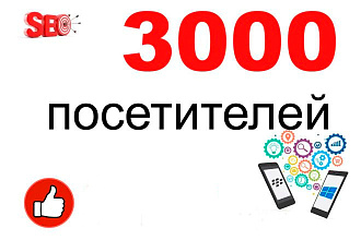 3000 посетителей на сайт