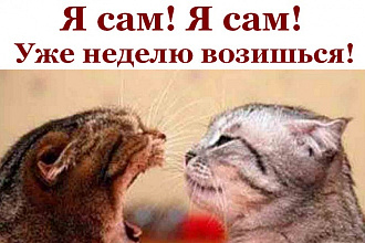Наполнение сайта уникальным контентом