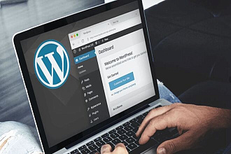 Наполнение сайта контентом WordPress