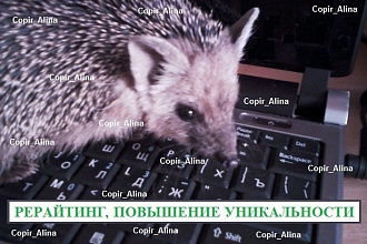 Выполню качественный рерайтинг текста