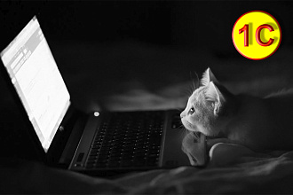 Обслуживание 1с торговля и склад 8.2 Создание обработки для БД