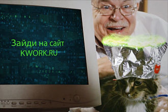 Забавное видео с котом и Вашими контактами