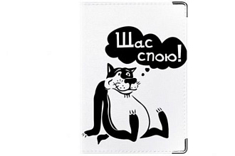 Спою песню