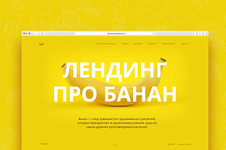Сделаю Продающий Лендинг