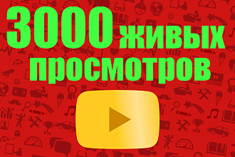 3000 живых просмотров на Youtube