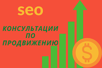 Seo консультации
