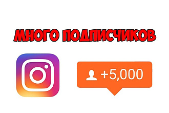 Привлеку 5000 подписчиков в Instagram