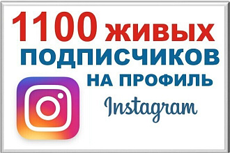 1100 качественных живых подписчиков на профиль в Instagram