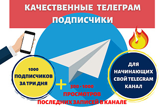 1000 подписчиков в Telegram и просмотры на последние записи