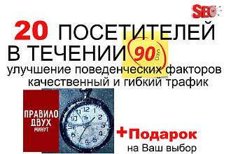 Поведенческие факторы под Вас. 20 посетителей в течение 90 дней