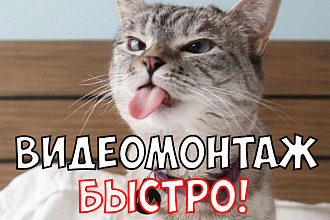 Видеомонтаж быстро, до 5 мин