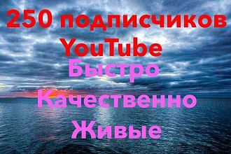 250 YouTube подписчиков