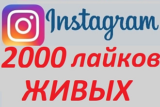 2000 лайков Instagram от живых пользователей