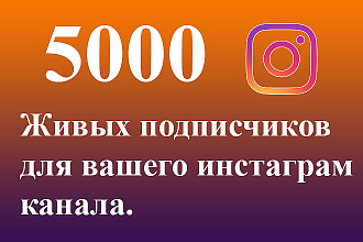 Продвижение в инстаграм. 5000 живых подписчиков