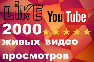 2000 просмотров на ваш канал YouTube