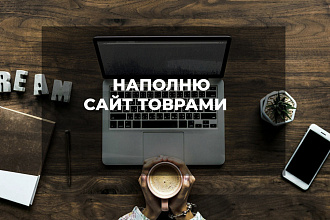 Наполню интернет-магазин товарами