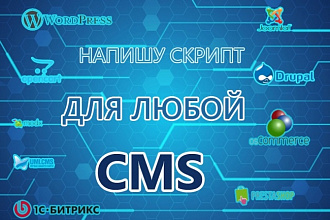 Напишу скрипт для любой CMS