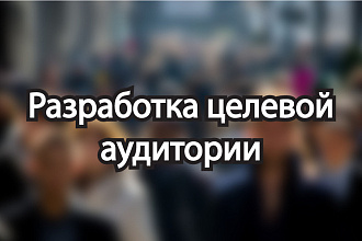 Разработка целевой аудитории