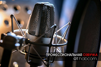 Профессиональная озвучка видео от habcom