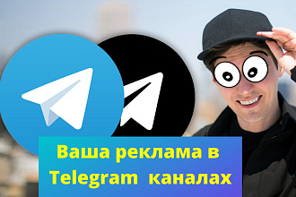 Реклама в Telegram каналах. Более 50 000 подписчиков. Живая аудитория