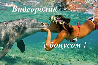 Монтаж и обработка видео