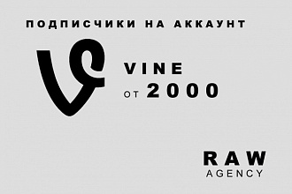 Подписчики на Vine