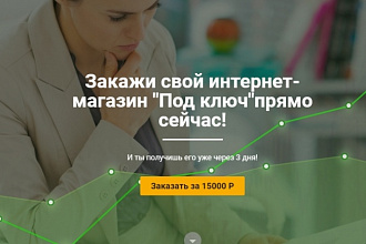 Создание и разработка интернет-магазинов