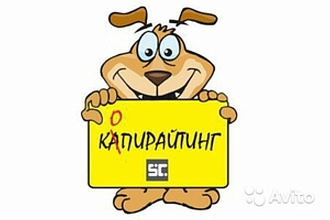 Копирайтинг