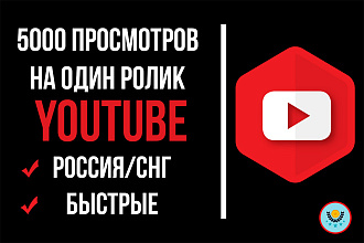 5000 интернациональных просмотров для счетчика