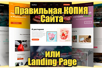 Правильная копия Сайта или Landing Page
