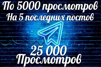 Добавлю по 5000 Просмотров на последних 5 публикаций. 25000 суммарно