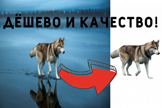 Дёшево удаляю фон с фотографии