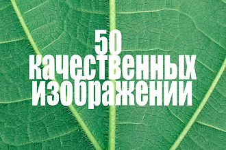 Подбор 50 фото на любую тему с хороших стоков