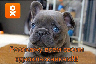 Размещу Вашу информацию в сетке своих групп