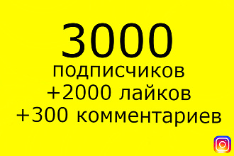 Подписчики instagram раскрутка 3000 + 2000 лайков + 300 комментариев