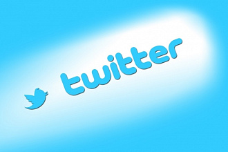 1700 подписчиков на ваш аккаунт в Twitter