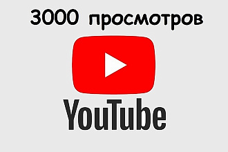 3000 просмотров на видео youtube