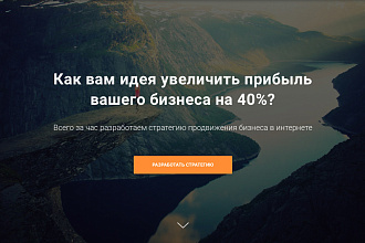 Разработка лендинга на конструкторе