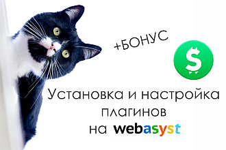 Установка и настройка плагина на Webasyst Shop-Script
