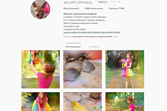 Размещу навсегда вашу рекламу в моем профиле о животных в Instagram