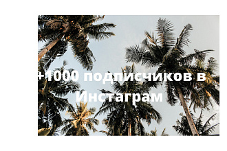 +1000 подписчиков
