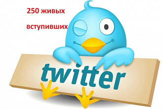 250 живых подписчиков в группу Twitter