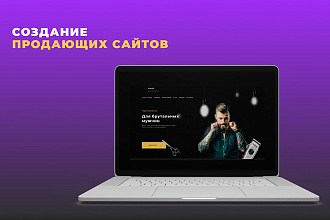 Сделаю сайт на Wordpress и Tilda