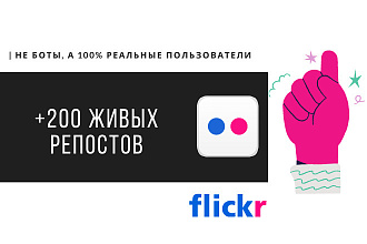 + 200 живых репостов фото из Flickr, ручная работа