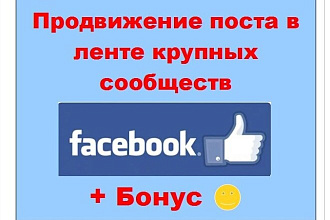 Продвижение поста через Фейсбук - Реклама в ленте крупных живых групп