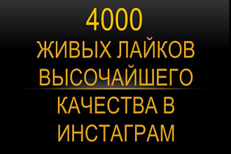 2000 лайков высочайшего качества в Инстаграм