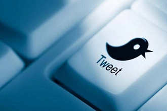 1700 подписчиков в ваш аккаунт Twitter